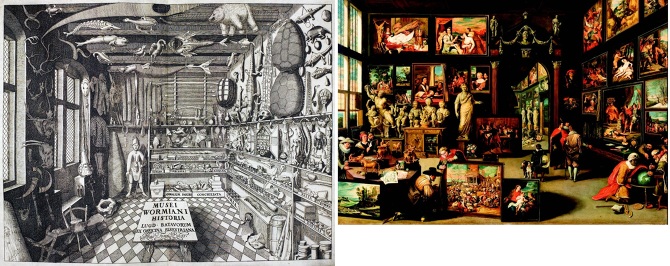 Cabinet Of Wonders Cabinet Of Wonders